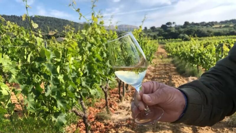 Muscat de Beaumes-de-Venise